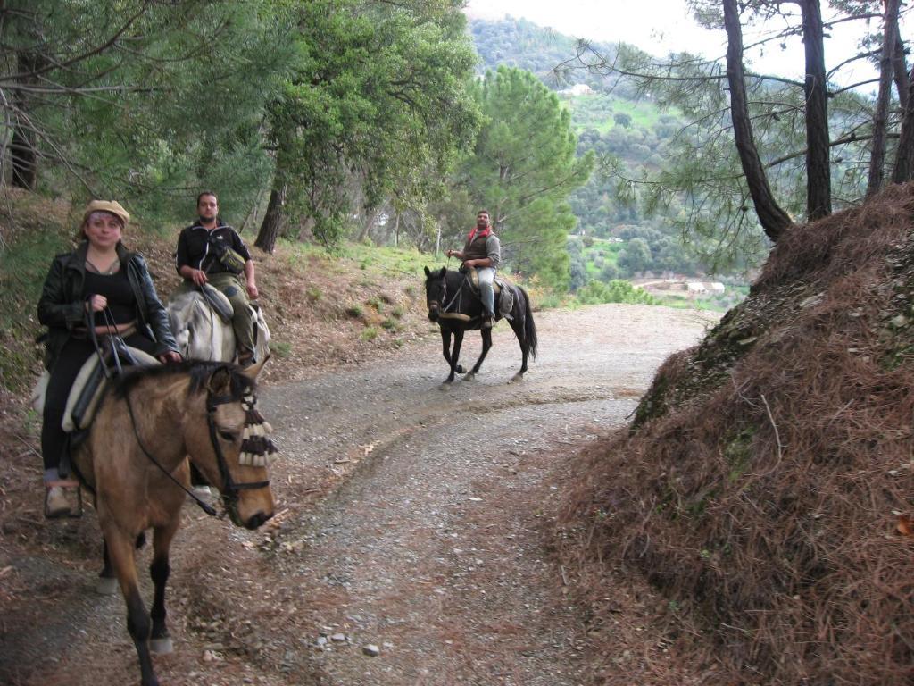 Posada Mirador De Jubrique Eksteriør bilde