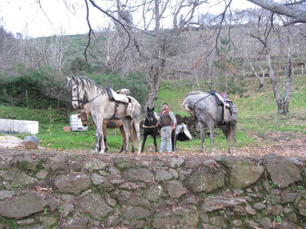 Posada Mirador De Jubrique Eksteriør bilde